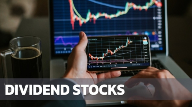 Guide to Dividend Stocks