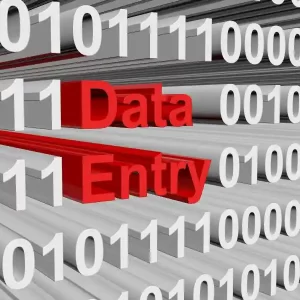 Data Entry Service in India