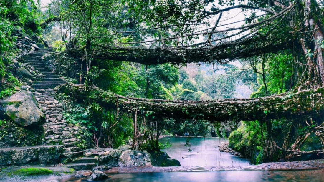 Cherrapunji The Land of Living Root Bridges